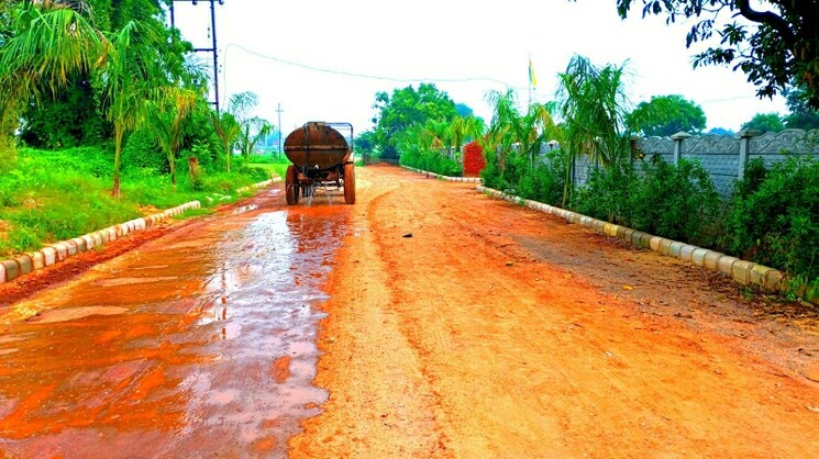 Garden, alok-vihar  110 Sq.Yd. Plot In Sector 50 Noida 7763207