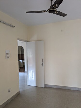 2 BHK Apartment For Rent in Basavanagudi Bangalore  7763402