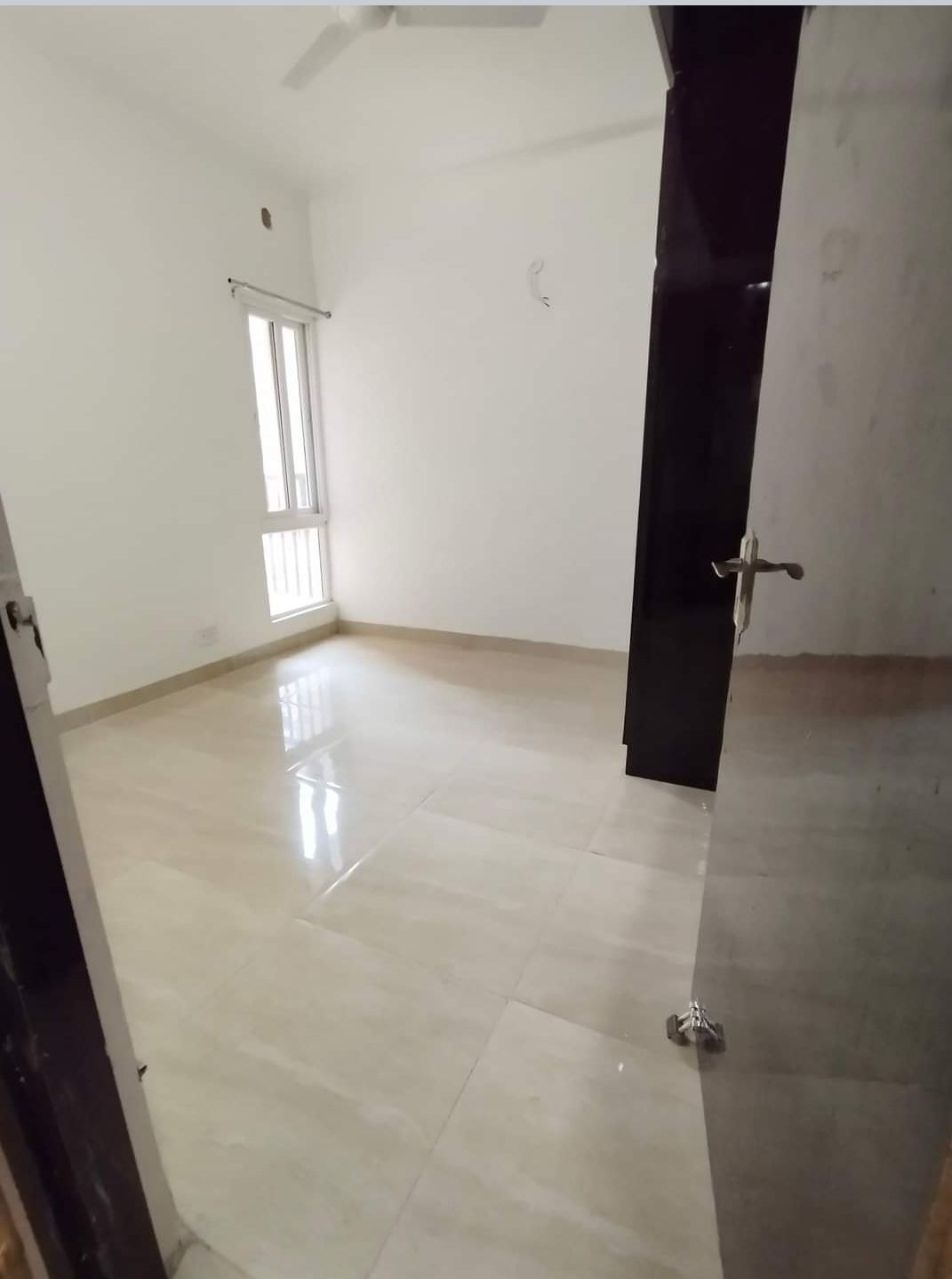 3 BHK Apartment For Rent in Gaur City 2 - 14th Avenue Noida Ext Sector 16c Greater Noida  7763428