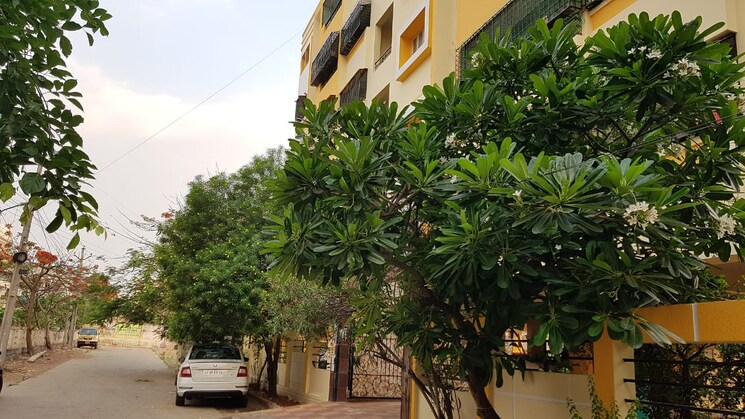 Exterior View, a s rao nagar 3 Bedroom 1830 Sq.Ft. Apartment In A S Rao Nagar Hyderabad 7763647
