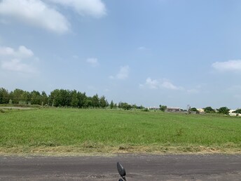 Commercial Land 38 Sq.Yd. For Resale in Sector 117 Mohali  7763654