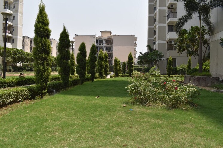 Garden, aerocity 3.5 Bedroom 1650 Sq.Ft. Apartment In Aerocity Mohali 7763735