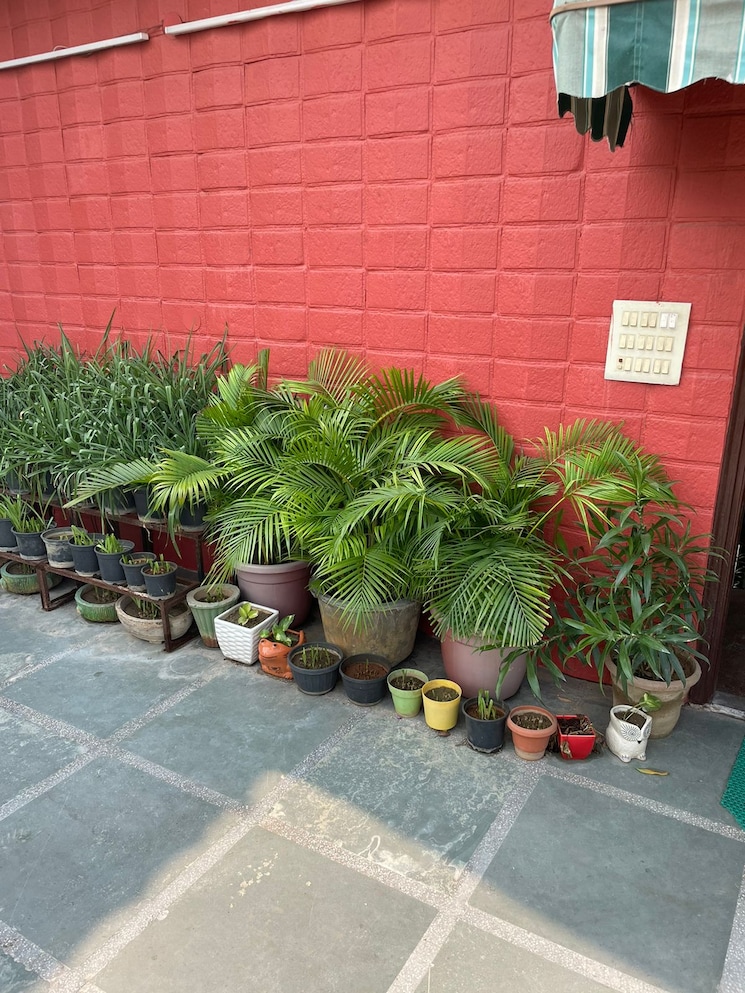  Parking, greater kailash i 2 Bedroom 1800 Sq.Ft. Builder Floor In Greater Kailash I Delhi 7763955