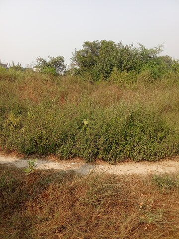  Plot – Exterior View View at Tappal - for Sale