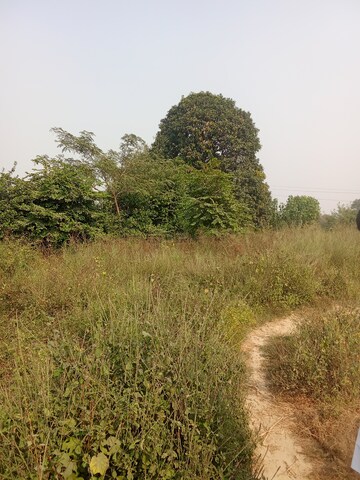  Plot – Exterior View View at Tappal - for Sale