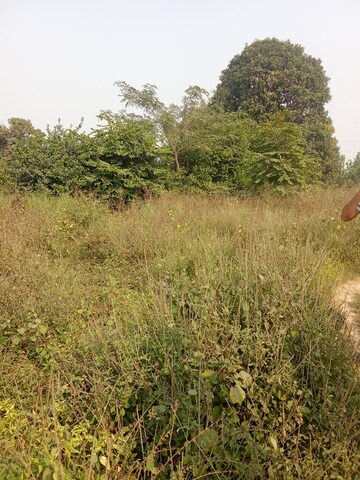  Plot For Sale in Tappal