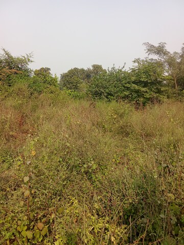  Plot – Exterior View View at Tappal - for Sale