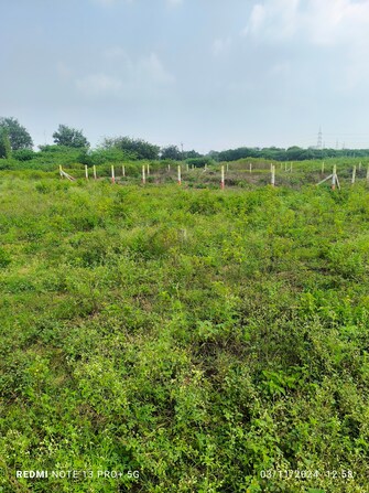 Plot For Resale in Ram Nagar Sangli  7764305