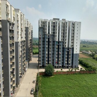 1 BHK Apartment For Resale in Aditya Urban Homes Shahpur Bamheta Ghaziabad  7742129