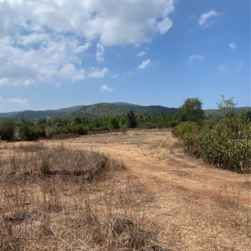 Plot Area in  Plot at Alibag – for Sale