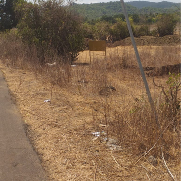 Plot Area in  Plot at Alibag – for Sale