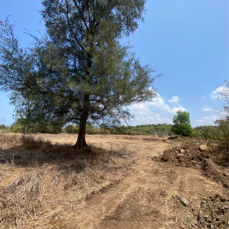 undefined, alibag  9200 Sq.Yd. Plot In Alibag Raigad 7764585