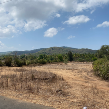  Plot For Sale in Alibag