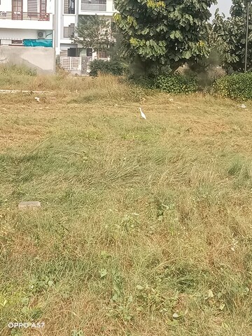  Plot For Sale in Omaxe New Chandigarh, North Mullanpur