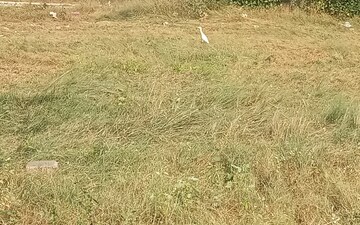 Plot For Sale in Omaxe New Chandigarh, North Mullanpur
