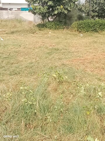  Plot For Sale in Omaxe New Chandigarh, North Mullanpur
