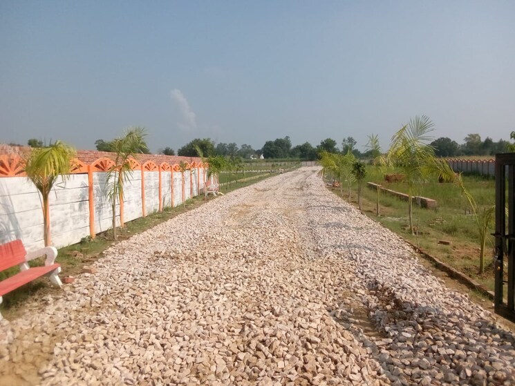 undefined, raebareli road  805 Sq.Ft. Plot In Raebareli Road Lucknow 7764857