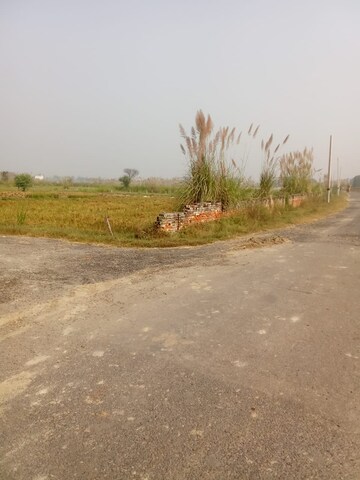 Plot Area in  Plot at Tappal – for Sale
