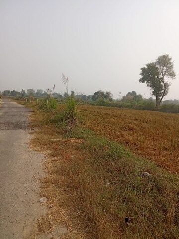 Plot Area in  Plot at Tappal – for Sale