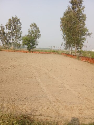Plot Area in  Plot at Tappal – for Sale