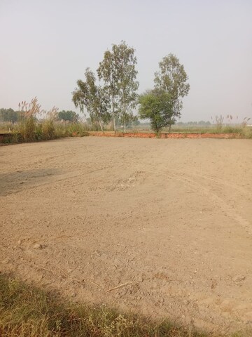 Plot Area in  Plot at Tappal – for Sale