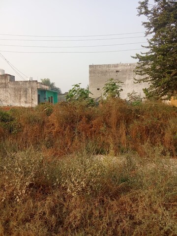  Plot For Sale in Tappal