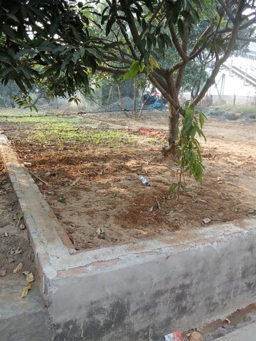 Plot Area in  Plot at Tappal – for Sale