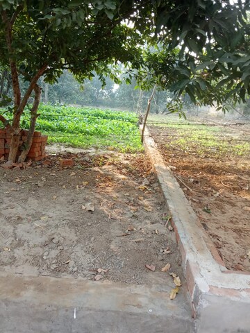 Plot Area in  Plot at Tappal – for Sale