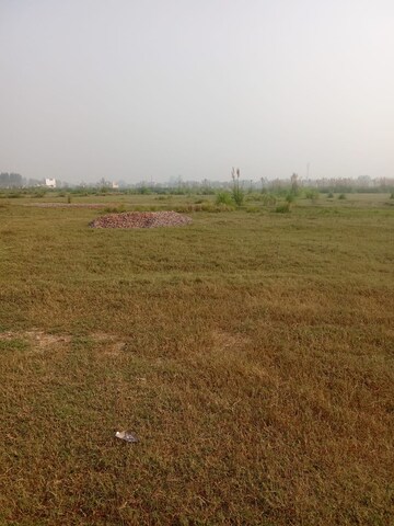 Plot Area in  Plot at Tappal – for Sale