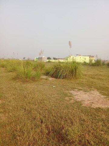 Plot Area in  Plot at Tappal – for Sale