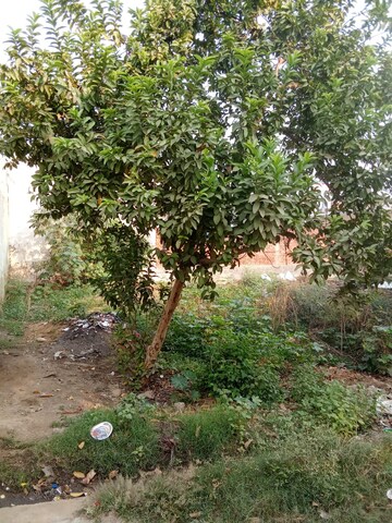  Plot – Exterior View View at Tappal - for Sale
