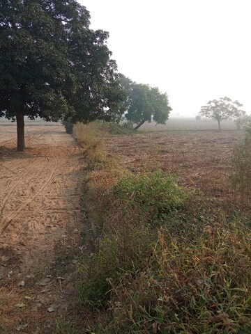 Plot Area in  Plot at Tappal – for Sale