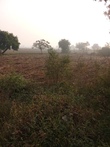 Plot Area in  Plot at Tappal – for Sale