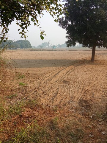Plot Area in  Plot at Tappal – for Sale