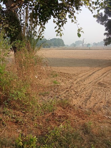  Plot For Sale in Tappal