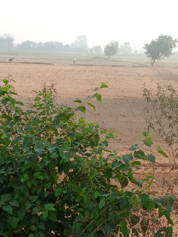  Plot For Sale in Tappal