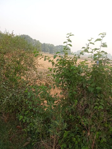  Plot – Exterior View View at Tappal - for Sale