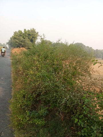  Plot – Exterior View View at Tappal - for Sale