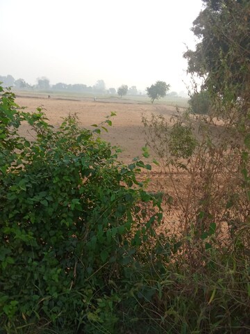 Plot Area in  Plot at Tappal – for Sale
