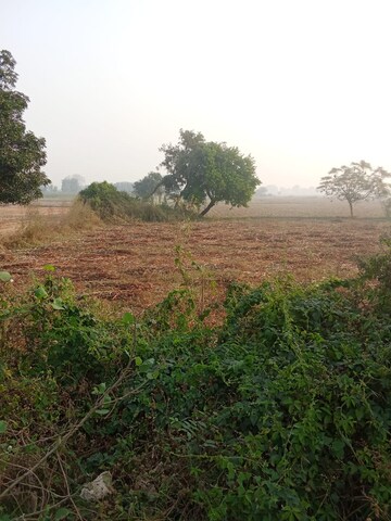 Plot For Sale in Tappal