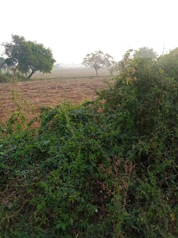 Plot Area in  Plot at Tappal – for Sale