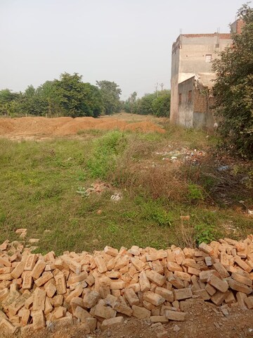 Plot Area in  Plot at Tappal – for Sale