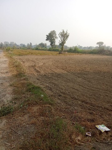  Plot For Sale in Tappal