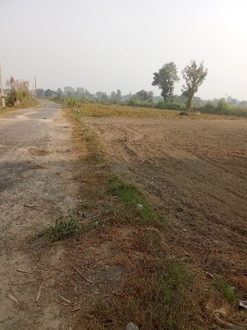 Plot Area in  Plot at Tappal – for Sale