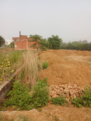 Plot Area in  Plot at Tappal – for Sale