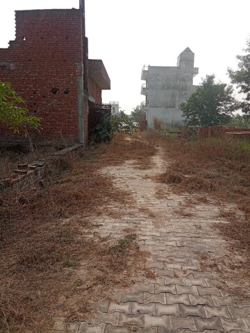 Plot Area in  Plot at Tappal – for Sale