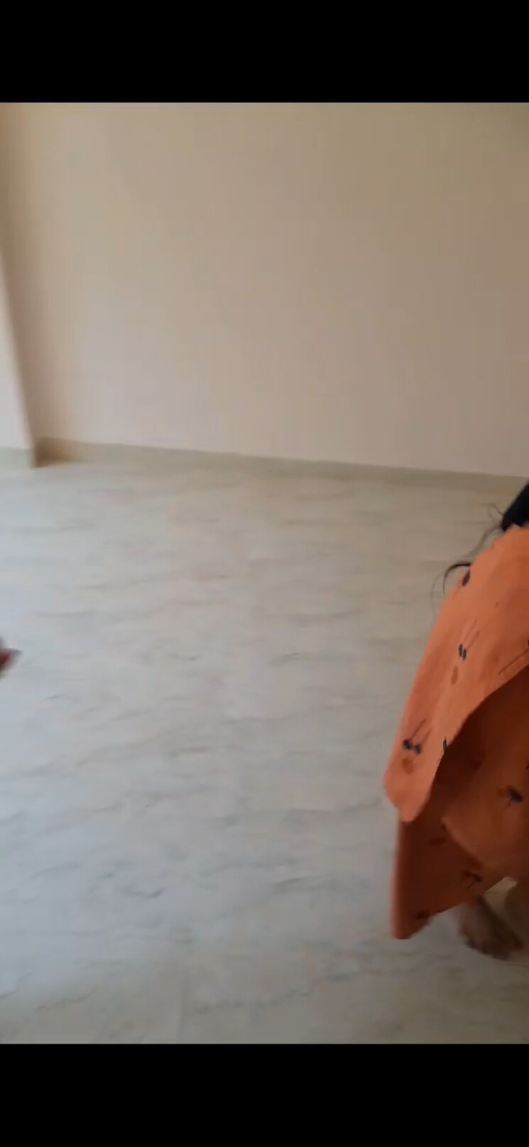 Room, lfka-rabiya-height 1 Bedroom 610 Sq.Ft. Apartment In Kalyan West Thane 7765107