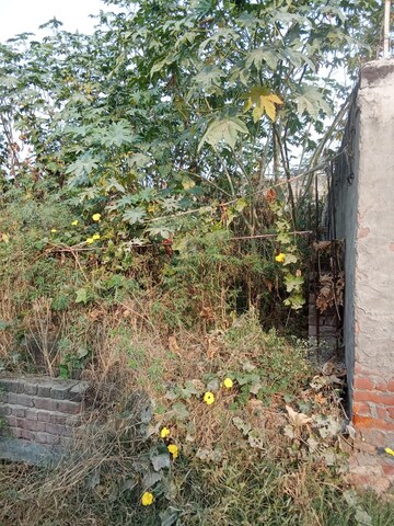  Plot – Exterior View View at Tappal - for Sale