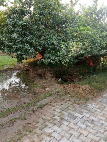  Plot – Exterior View View at Tappal - for Sale