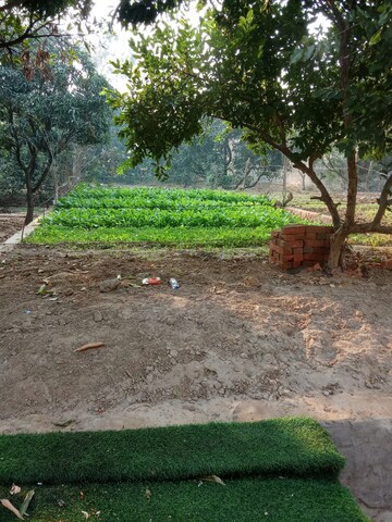 Plot – Exterior View View at Tappal - for Sale